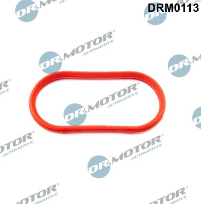 DRM0113 Dr.Motor Automotive Прокладка, впускной коллектор