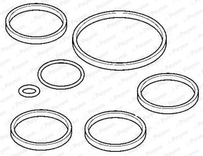 HA5053 PAYEN Комплект прокладок, впускной коллектор