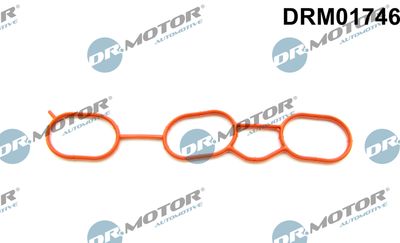 DRM01746 Dr.Motor Automotive Прокладка, впускной коллектор