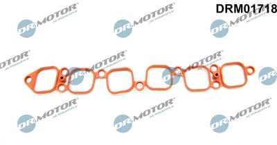 DRM01718 Dr.Motor Automotive Прокладка, впускной коллектор