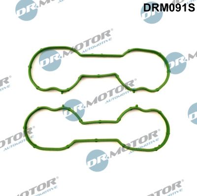 DRM091S Dr.Motor Automotive Комплект прокладок, впускной коллектор