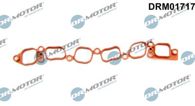 DRM01717 Dr.Motor Automotive Прокладка, впускной коллектор