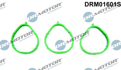 DRM01601S Dr.Motor Automotive Комплект прокладок, впускной коллектор