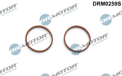 DRM0259S Dr.Motor Automotive Комплект прокладок, впускной коллектор