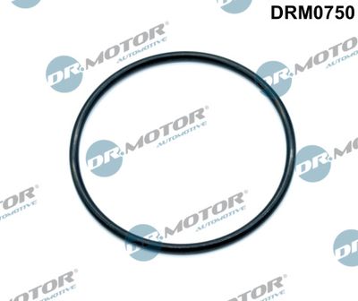 DRM0750 Dr.Motor Automotive Прокладка, впускной коллектор