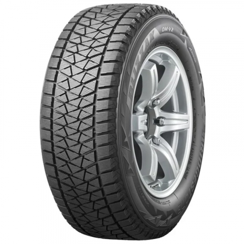  Шины Bridgestone Blizzak DM-V2 25550 R19 107T