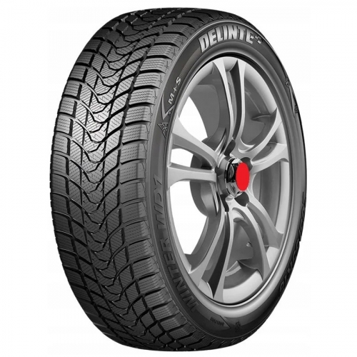  Шины DELINTE Winter WD1 20560 R16 96H